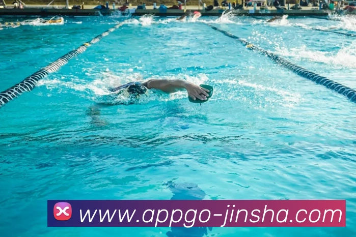 App Interface Preview