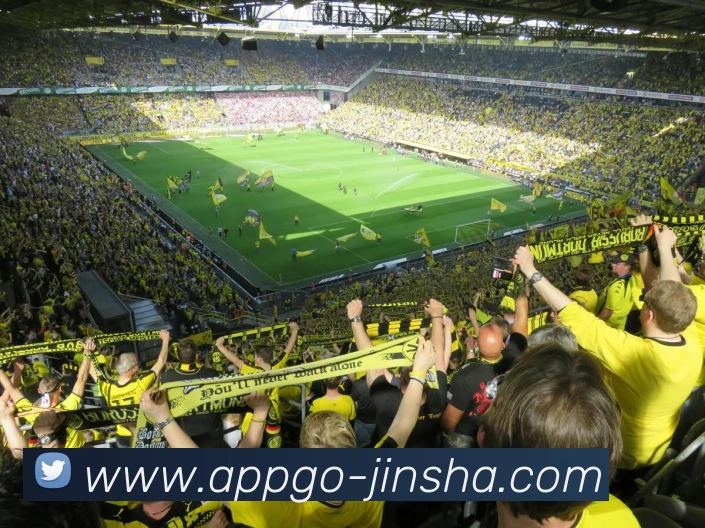 澳门金沙官网APP 封面图